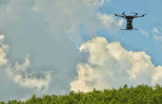 Reuters: Dronët që hedhin fara kërkojnë të ndalojnë shpyllëzimin e Kosovës
