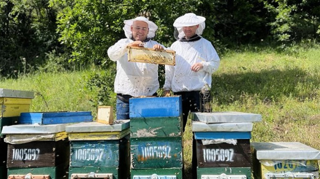 8.5 milionë euro për sektorin e bletarisë