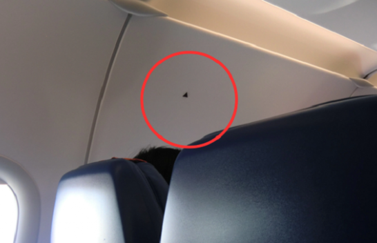 Për çfarë shërbejnë trekëndëshat e përshkruar në kabinën e pasagjerëve të aeroplanit?