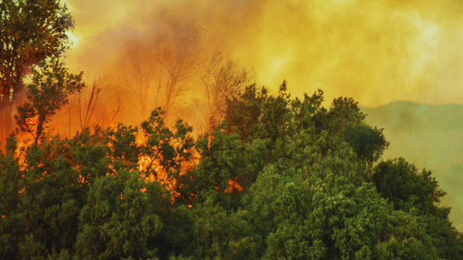 Rritja e temperaturave në Kosovë: Shërbimi i Kërkim-Shpëtimit Malor ka një njoftim të rëndësishëm