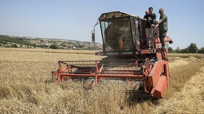 Kurti nga korrje-shirjet në Malishevë: “Buka jonë, në sofrën tonë, nga toka jonë”