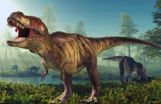 Skeleti i një dinozauri u shit për kaq milion dollarë