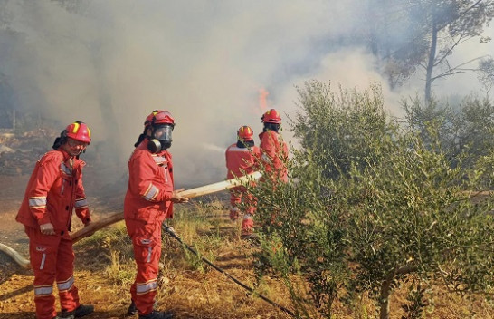 Kjo është situata aktuale e zjarreve në Shqipëri