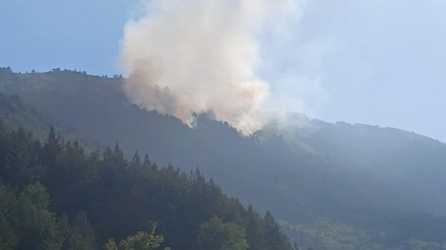 Zjarr në Parkun Kombëtar Sharri, bëhet thirrje për ndihmë