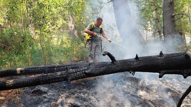 Angazhimet për menaxhimin e vatrave të zjarrit në Parkun Kombëtar 'Sharri' vazhduan edhe sot