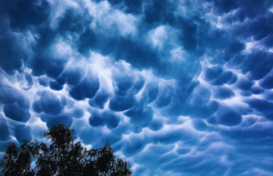Bukuria dhe misteri i reve Mamatus