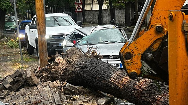 Reshje shiu dhe erëra të forta: Moti i keq shkakton rënie të pemëve mbi vetura në Shkodër