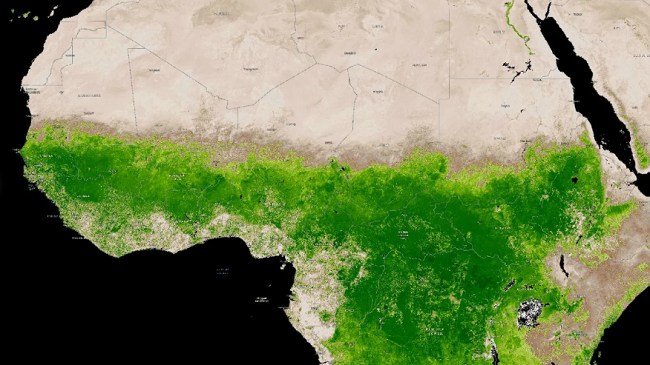 Një fenomen i rrallë meteorologjik ka bërë që Sahara të gjelbërohet