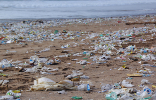 Shpëtimi i planetit nga plastika