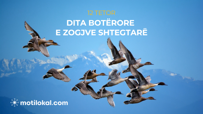 12 Tetor - Dita Botërore e Zogjve Shtegtarë