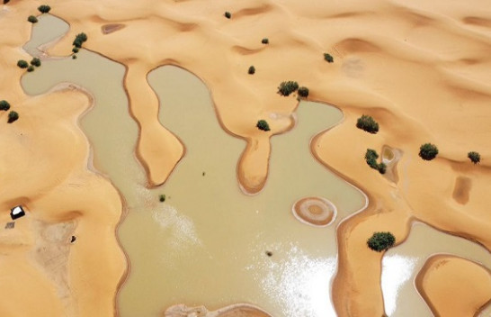 Fenomen i rrallë, Sahara shndërrohet në liqen