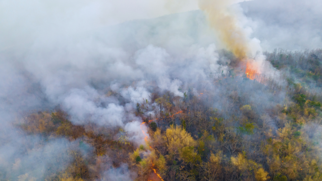 Tymi i zjarreve pyjore të shkaktuara nga ngrohja globale rrezikon mijëra jetë çdo vit