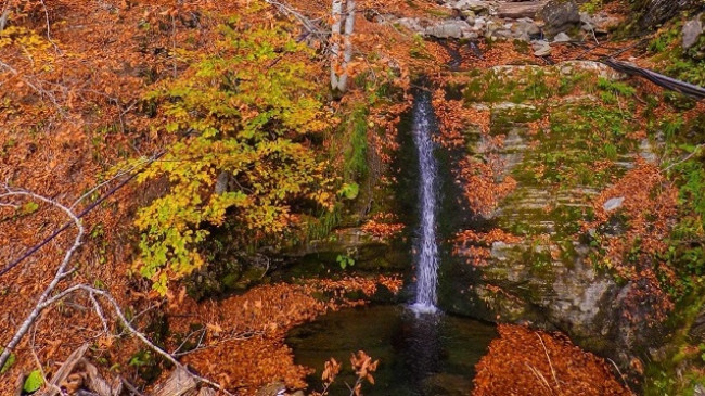 Kartolinë vjeshte nga Lëpusha/ FOTO