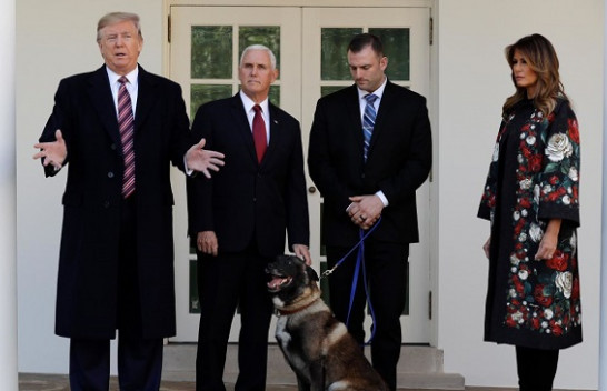 A do të ketë kafshë shtëpiake në Shtëpinë e Bardhë gjatë mandatit të Trump? Dihet që nuk i pëlqen qentë