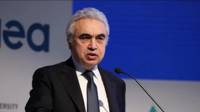 Shefi i IEA-së: Askush nuk mund të marrë peng diellin ose erën