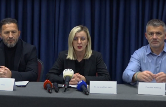 Organizatat mjedisore dorëzojnë ankesë në Vjenë kundër Kosovës për ndërtimin e hidrocentraleve ilegale në Parkun e Sharrit