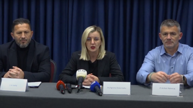 Organizatat mjedisore dorëzojnë ankesë në Vjenë kundër Kosovës për ndërtimin e hidrocentraleve ilegale në Parkun e Sharrit
