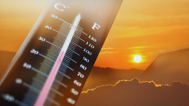 Ngrohja globale arrin pikën kritike: Viti 2024 kalon kufirin prej 1.5°C