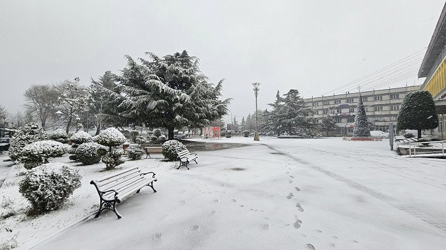 Pogradeci zbukurohet nga fjollat e borës