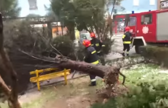 Era e fortë shkakton dëme në Lezhë