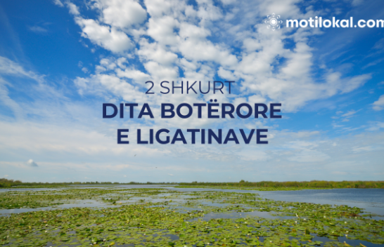 Dita Botërore e Ligatinave: Mbrojtja e Ligatinave për të ardhmen tonë të përbashkët