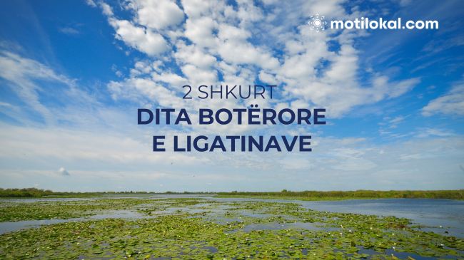Dita Botërore e Ligatinave: Mbrojtja e Ligatinave për të ardhmen tonë të përbashkët