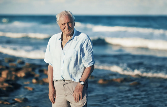 Attenborough, në moshën 99-vjeçare, përcjell 'mesazhin më të madh që ka dhënë ndonjëherë'