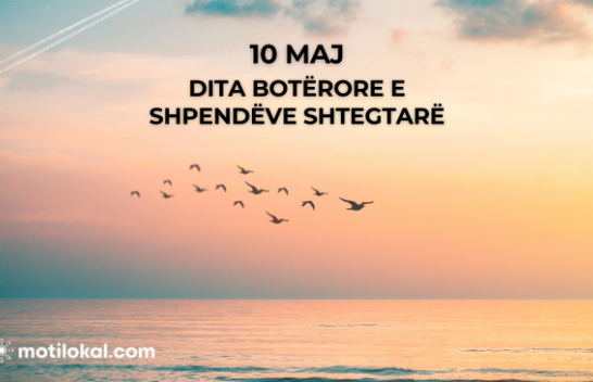 10 Maj - Dita Botërore e Shpendëve Shtegtarë