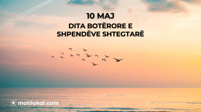 10 Maj - Dita Botërore e Shpendëve Shtegtarë