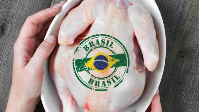 Kosova ndalon importin e mishit të pulës nga Brazili