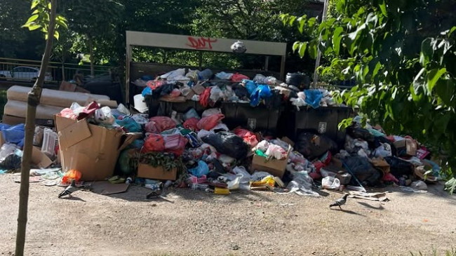 Kryeqyteti në kolaps higjienik – Prishtina nën rrethim nga mbeturinat!