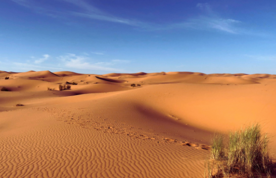 Në fakt, Sahara nuk është shkretëtira më e madhe në Tokë