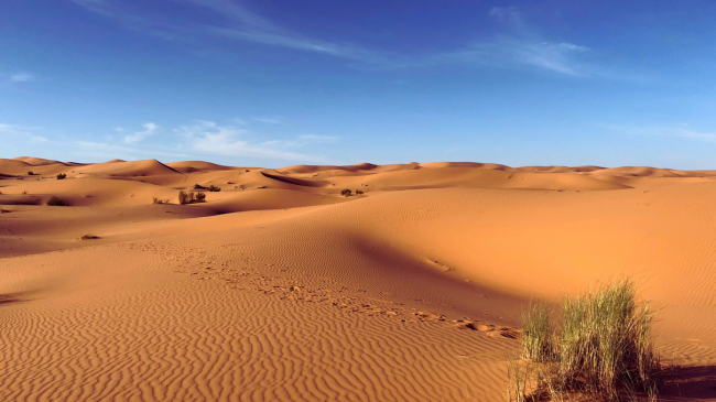 Në fakt, Sahara nuk është shkretëtira më e madhe në Tokë