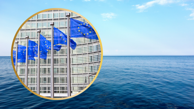 Bashkimi Evropian ndan një miliard euro për mbrojtjen e oqeaneve të botës