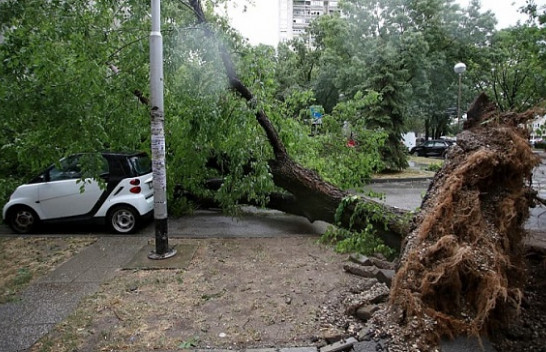 Një stuhi e tmerrshme goditi Zagrebin: Era rrëzoi pemët, duke shkaktuar dëme të mëdha