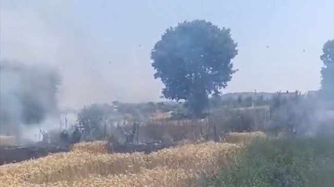 Komuna e Ferizajt në alarm: Zjarrfikësit luftojnë me flakët në katër fshatra