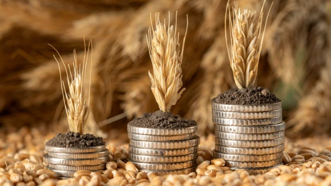 Mbi 17 milionë euro për fermerët – Peci jep lajmin e mirë