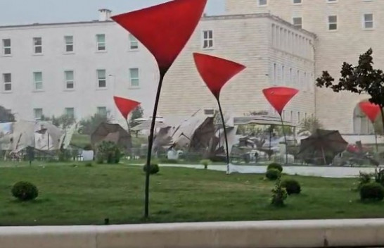 Tirana goditet nga reshje të dendura shiu dhe erëra të forta/ VIDEO