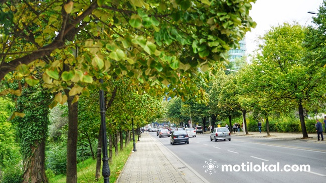 Mbi një milion mjete në qarkullim në rrugët e Shqipërisë, rritje e fortë e veturave moderne