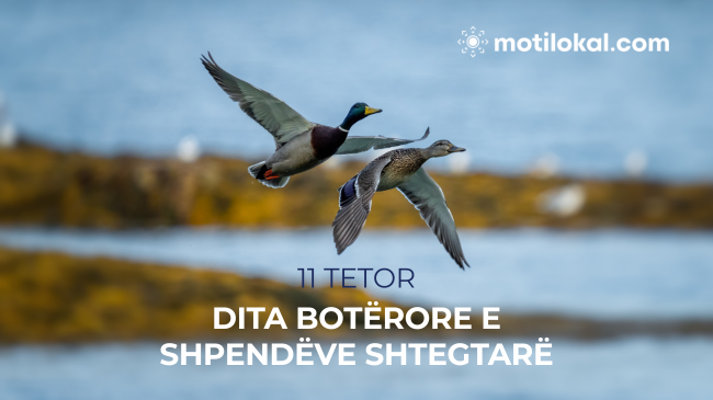 11 Tetor – Dita Botërore e Shpendëve Shtegtarë