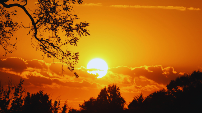 Toka do të nxehet më gjatë: 57 ditë më shumë nxehtësi ekstreme çdo vit deri në fund të shekullit