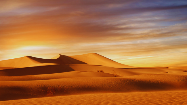 Shi në Sahara? Studiuesit parashikojnë një të ardhme më të lagësht për shkretëtirën