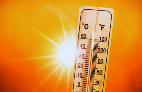 Çdo minutë në botë vdes një person nga rritja e temperaturave