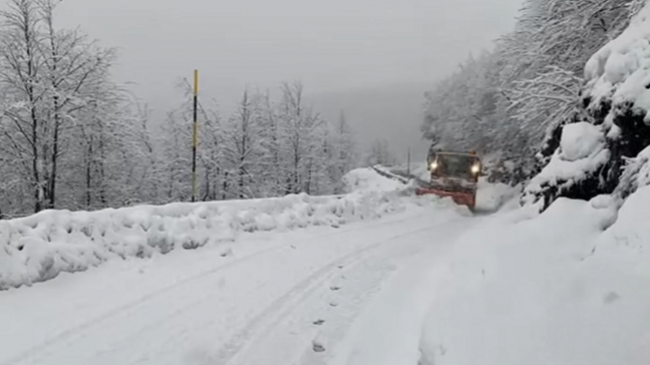 Bora mbulon sërish zonat malore të Shqipërisë