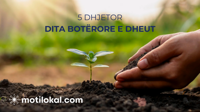 Dita Botërore e Dheut: Toka e Shëndetshme për Qytete të Shëndetshme