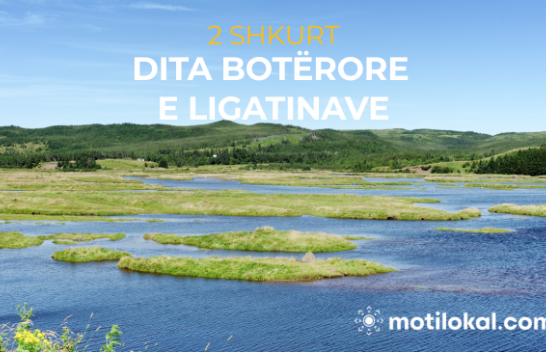 Sot është Dita Botërore e Ligatinave
