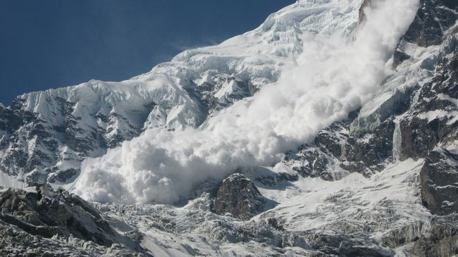 Dimrat e ngrohtë po i bëjnë ortekët më të rrezikshëm