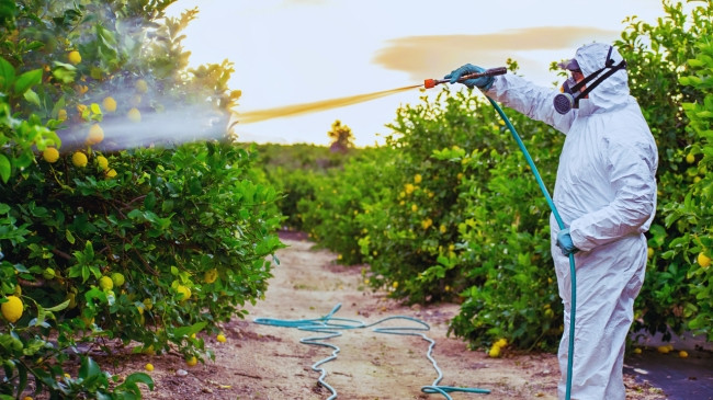Përdorimi i pesticideve lidhet me më shumë raste kanceri