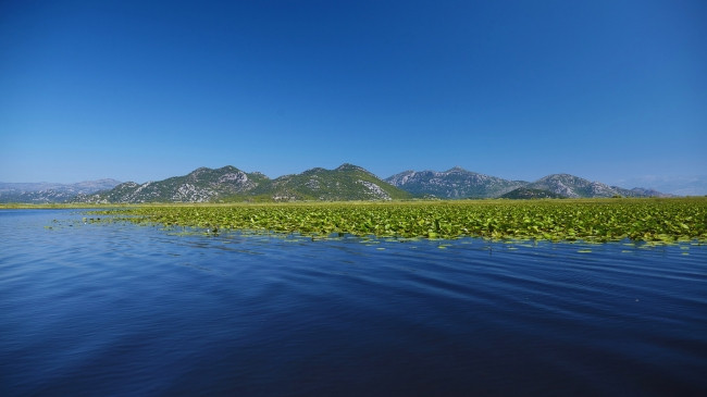 Liqeni i Shkodrës në UNESCO