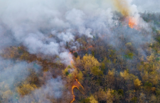 Zjarr masiv pranë Parisit, angazhohen aeroplanë zjarrfikës për të frenuar flakët